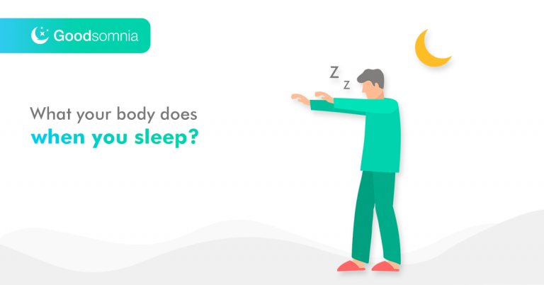 What your body does when you sleep